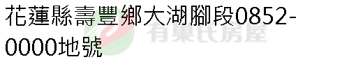 實價登錄地址圖